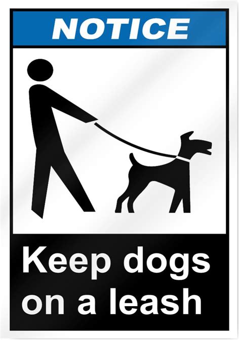  If this is difficult, keep your dog on a leash so that he is always near you